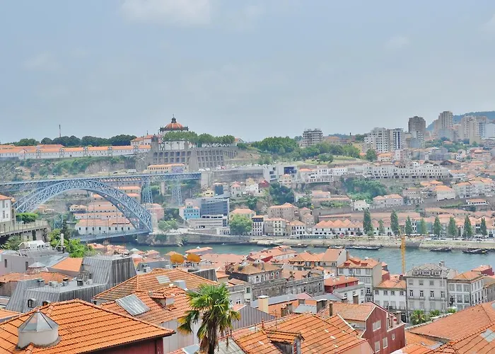 Pipad'oro By Yoursporto Oporto