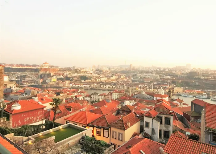 Pipad'oro By Yoursporto