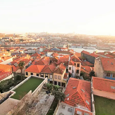 Pipad'oro By Yoursporto * Porto