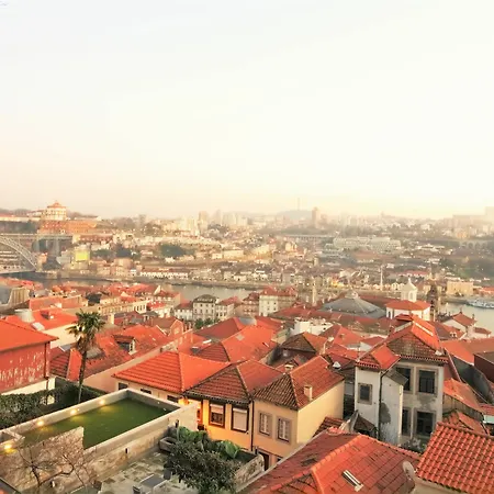 Pipad'oro By Yoursporto